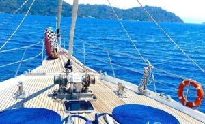 WhatsApp-Image-2023-11-04-at-11.39.50-1