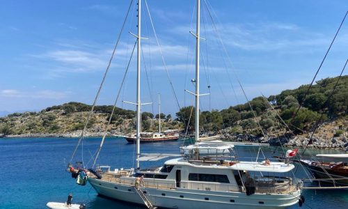 WhatsApp-Image-2023-11-04-at-11.39.51-3