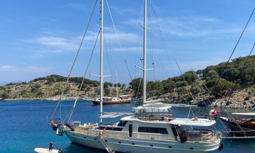 WhatsApp-Image-2023-11-04-at-11.39.52-2